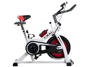 Tauki Indoor Upright Exercise Bike with LCD Monitor