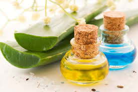 Most Amazing Beauty Benefits of Aloe Vera