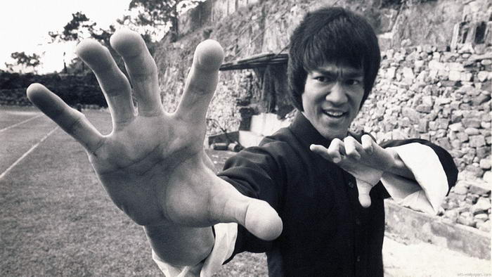 Bruce Lee Master