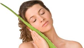 Most Amazing Beauty Benefits of Aloe Vera