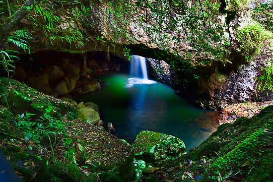 Most Exotic Cloud Forests in the World