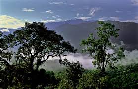 Tandayapa Mindo, Ecuador