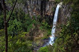 Springbrook National Park, Australia